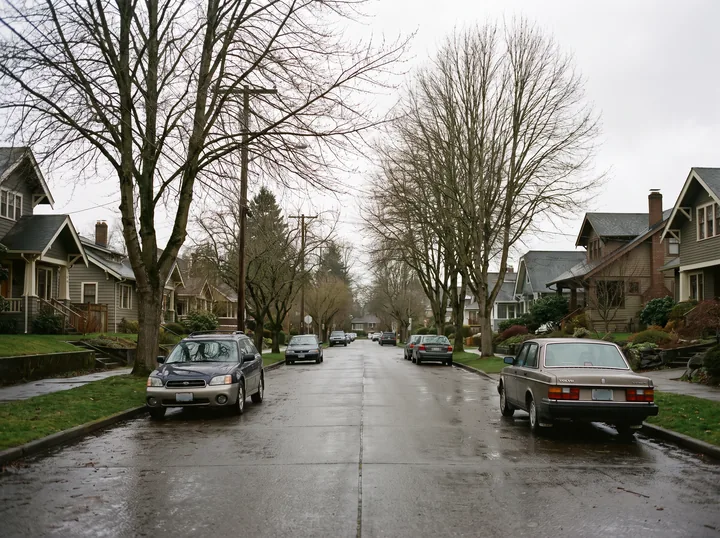 Illustration: a Seattle street of older craftsman houses and bungalows under bare trees
