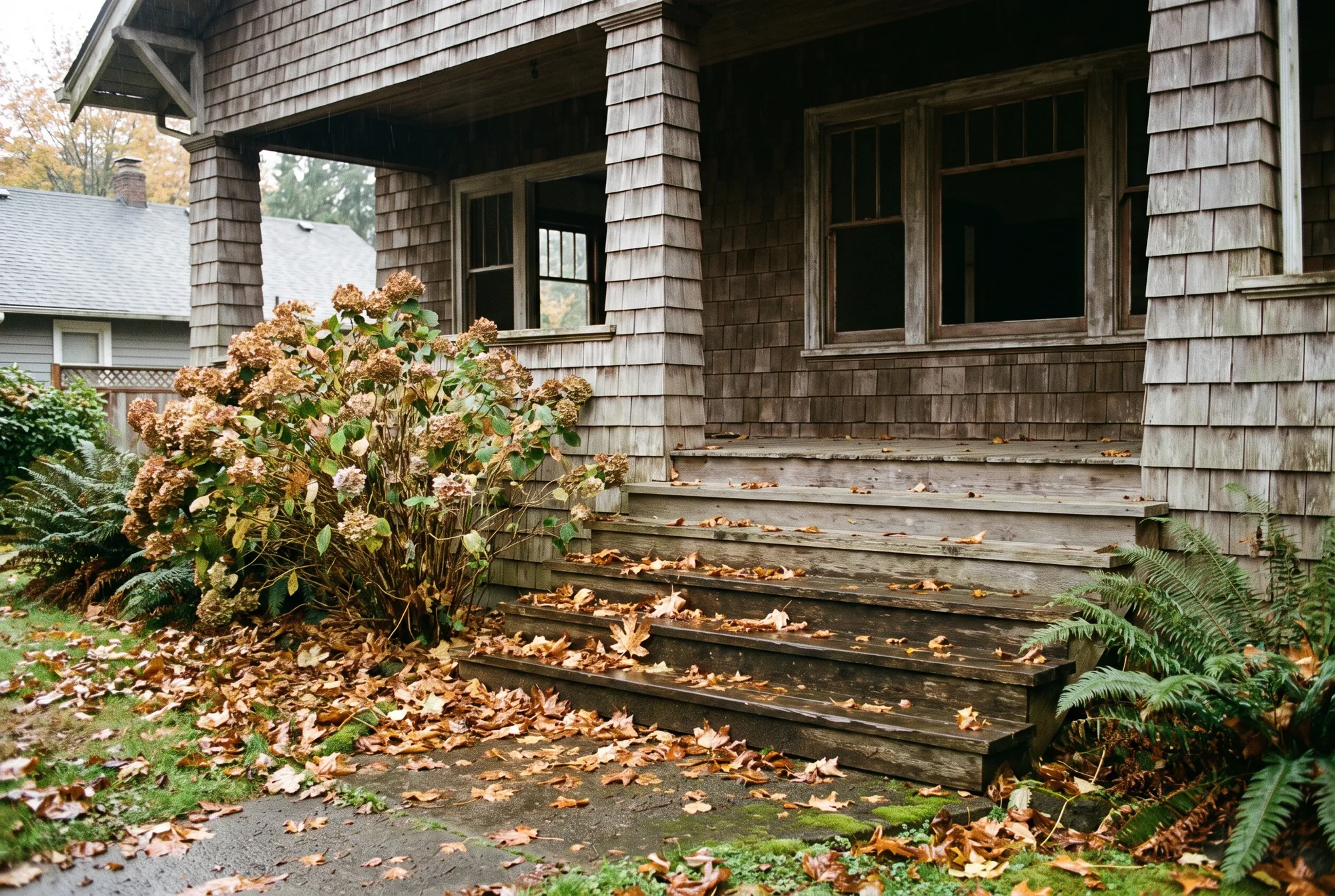 Illustration: the leaf-covered front steps of an older craftsman house