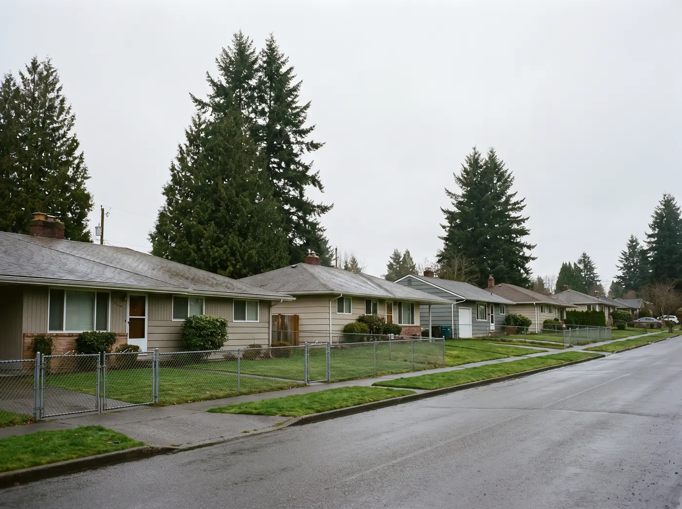 Illustration: a row of mid-century houses on a sloping Tacoma street